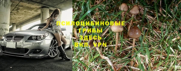 СК Сатка