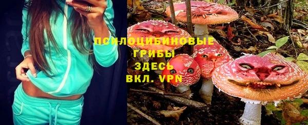 СК Сатка